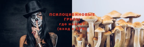 хмурый Новодвинск