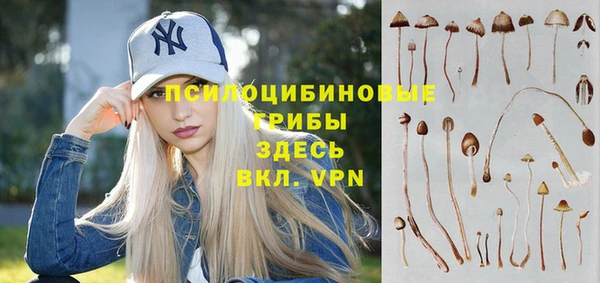 мдпв Нефтекумск