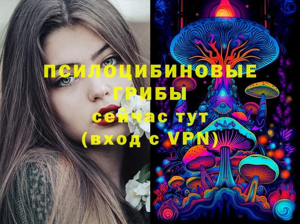 мдпв Нефтекумск