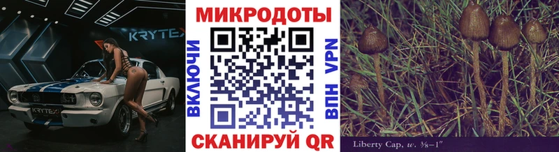 где продают   Игарка  Псилоцибиновые грибы мицелий 